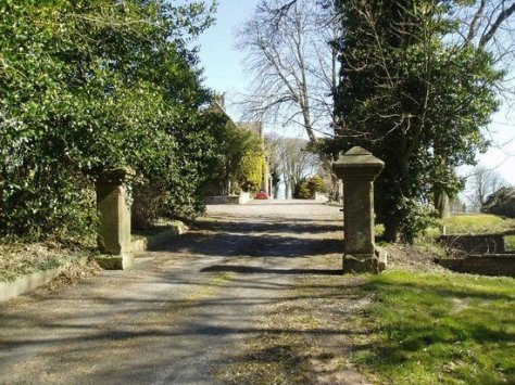 EllenBank Driveway from lodge to house (Tripadvisor)