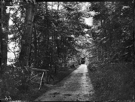 26734004_1810012405736915_6259768607971456348_n