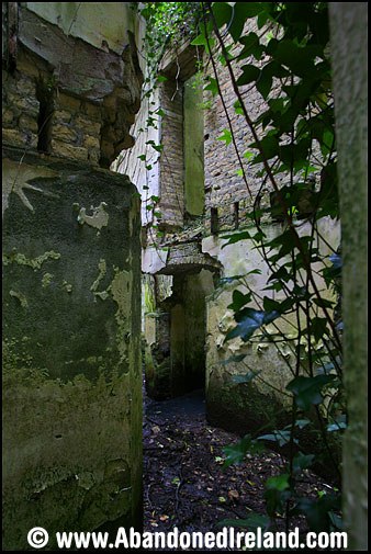 Glynwood House 4 (Abandoned Ireland)
