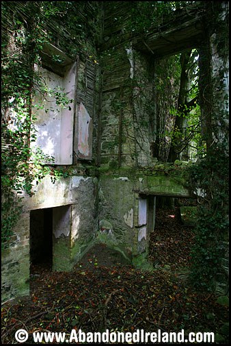 Glynwood House 5 (Abandoned Ireland)