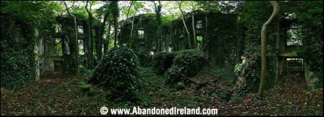 Glynwood House 8 (Abandoned Ireland)