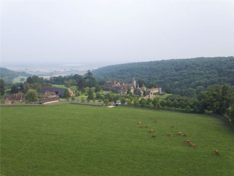 Dinmore Manor 26 (Savills)