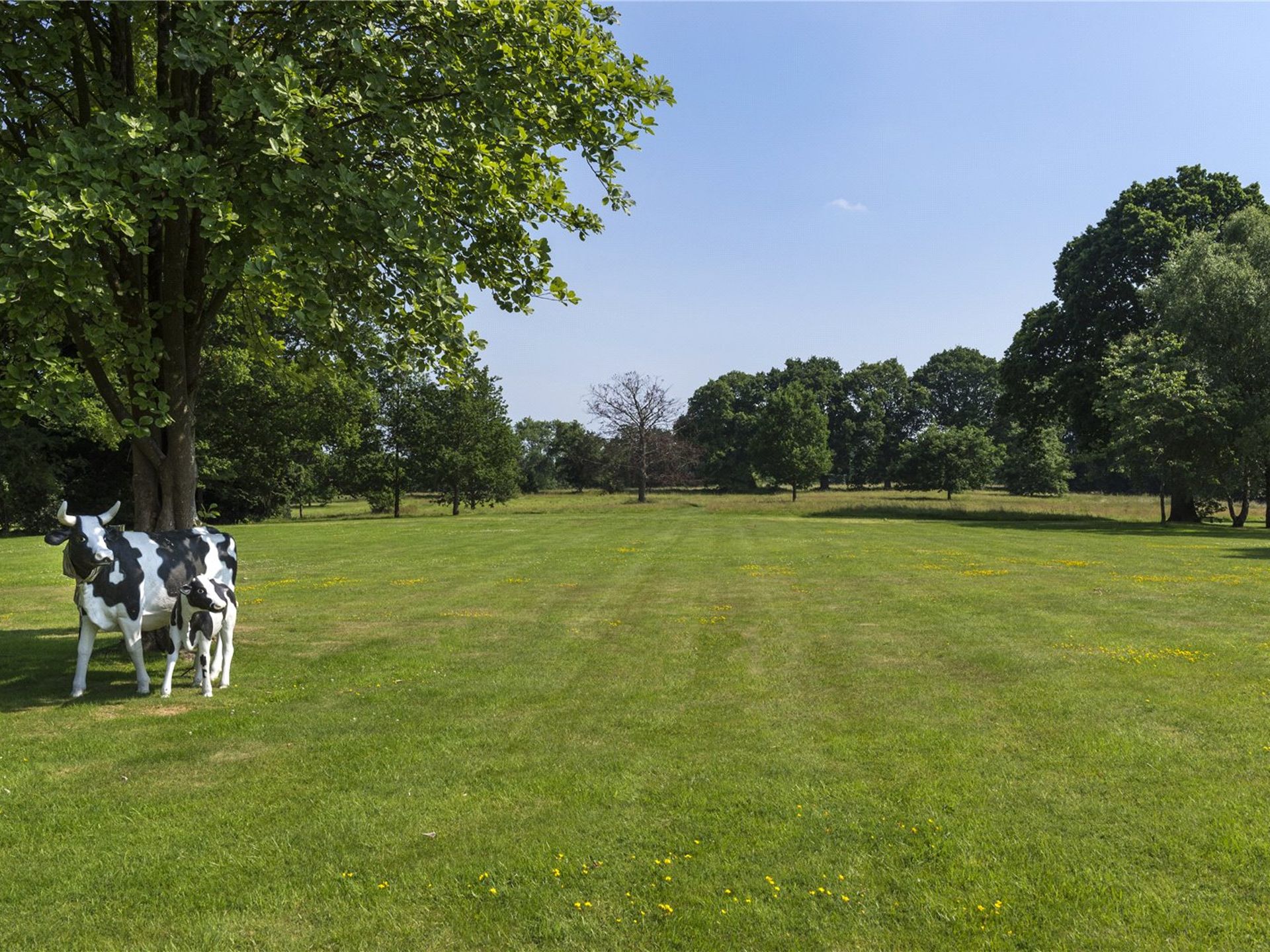 Faircrouch 15 (Savills)