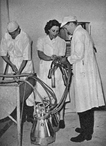 Hall Place - Illustrated Sporting and Dramatic News 1 - Nov 2 1949 (BNA)