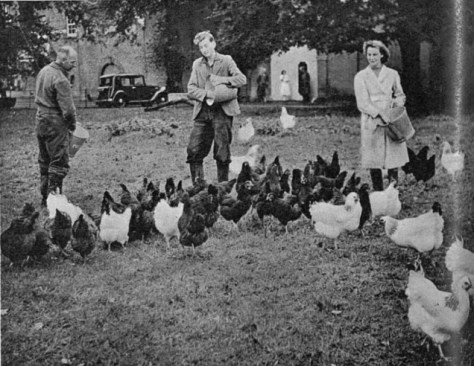 Hall Place - Illustrated Sporting and Dramatic News 7 - Nov 2 1949 (BNA)