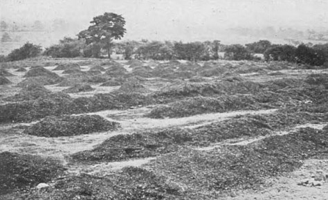 Illustrated Sporting and Dramatic News 2 - 4 July 1947 (BNA)