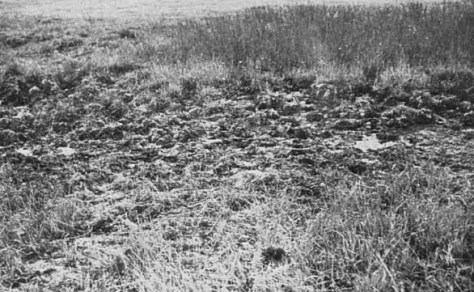 Illustrated Sporting and Dramatic News 3 - 4 July 1947 (BNA)