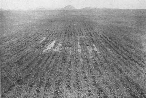 Illustrated Sporting and Dramatic News 4 - 4 July 1947 (BNA)