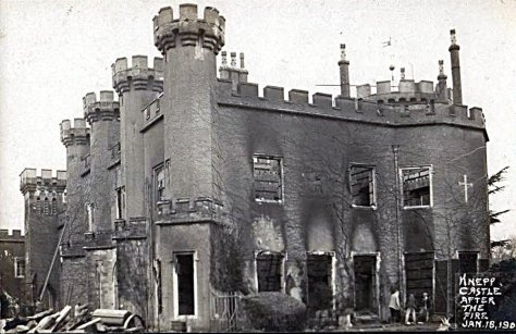 Knepp Castle Fire (Knepp Wildland)