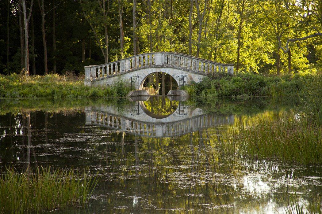 Bramshill 2018 (KF) (14)