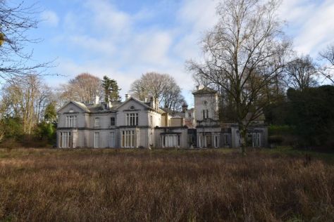 flass house - 2019 - harman healy (8)