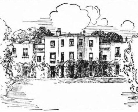 fulwell park - belfast weekly news - 28 august 1913 - bna