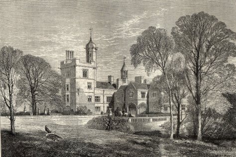 the farm - picture sheffield 3