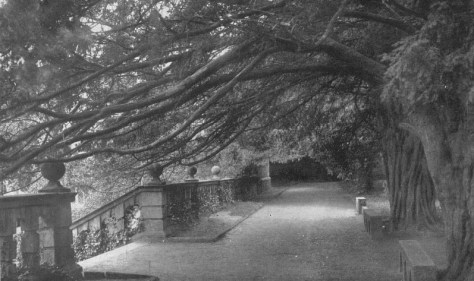 Haddon Hall - The Sketch - Jan 28 1903 - BNA (4)